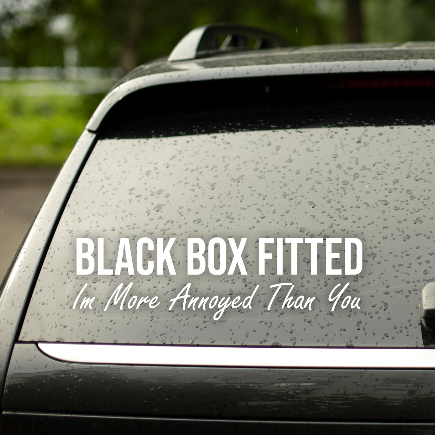 Black Box Annoyed Car Decal