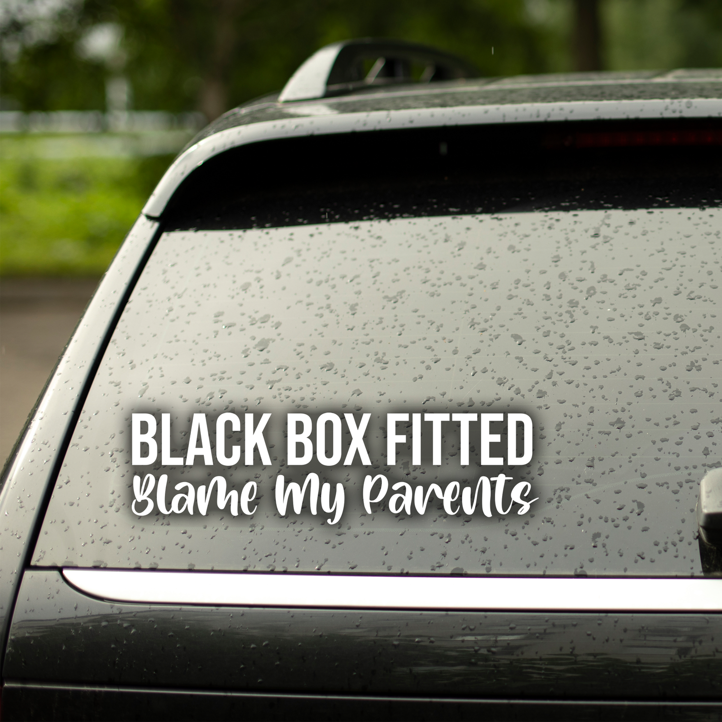 Black Box Blame Parents Car Decal