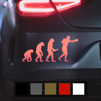 Boxing Evolution Car Decal