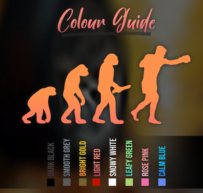 Boxing Evolution Car Decal