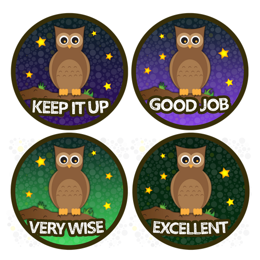 Holographic Book Owl Award Teachers Stickers
