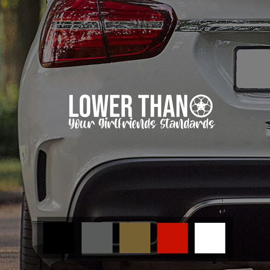 Lower Than Your Girlfriends Standards Funny Car Decal