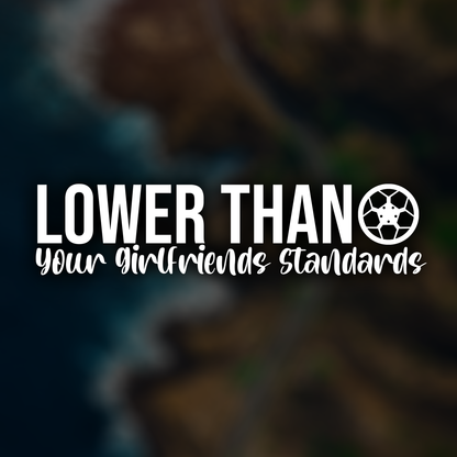 Lower Than Your Girlfriends Standards Funny Car Decal