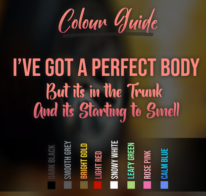 I've Got A Perfect Body Funny Car Decal