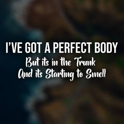 I've Got A Perfect Body Funny Car Decal