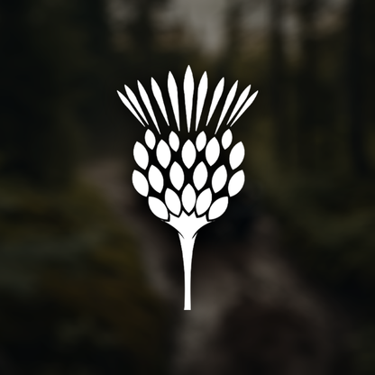 Scottish Thistle Car Sticker Decal