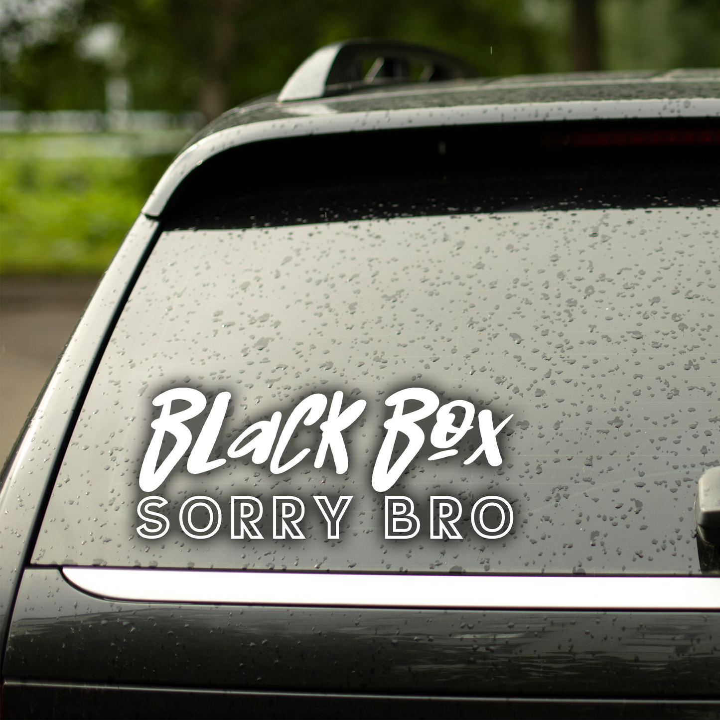 Black Box Sorry Bro Car Decal